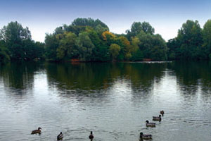 Ryton Pools